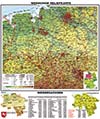 XXL Niedersachsen physisch