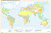 Natrliche Vegetation auf der Erde vor 18000 Jahren